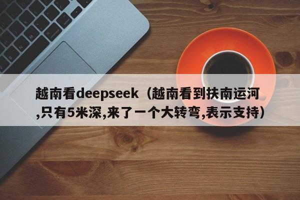 越南看deepseek（越南看到扶南运河,只有5米深,来了一个大转弯,表示支持）