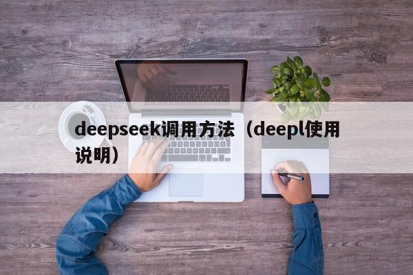 deepseek调用方法(deepl使用说明)