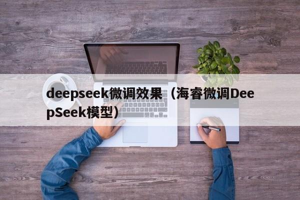 deepseek微调效果(海睿微调DeepSeek模型)