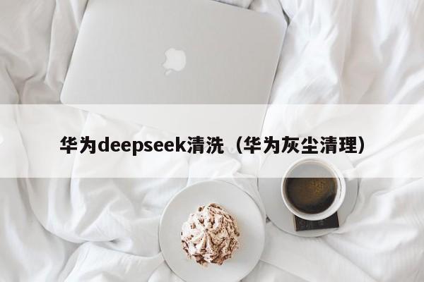 华为deepseek清洗(华为灰尘清理)