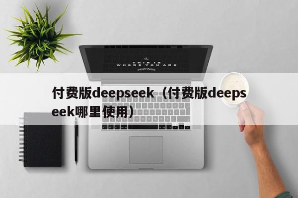 付费版deepseek(付费版deepseek哪里使用)