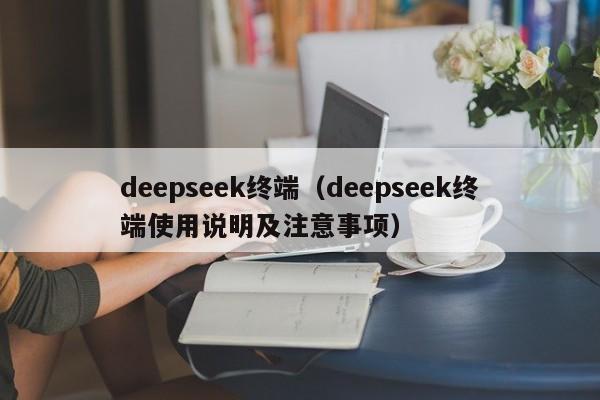 deepseek终端(deepseek终端使用说明及注意事项)