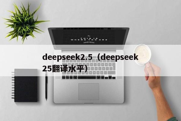 deepseek2.5（deepseek25翻译水平）